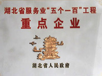省服務(wù)業(yè)“五個一百”名單公布，我公司名列其中