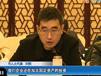 董事長劉鵠在市人大會議上發(fā)言